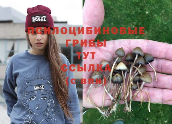 герыч Балахна