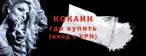 стаф Арсеньев