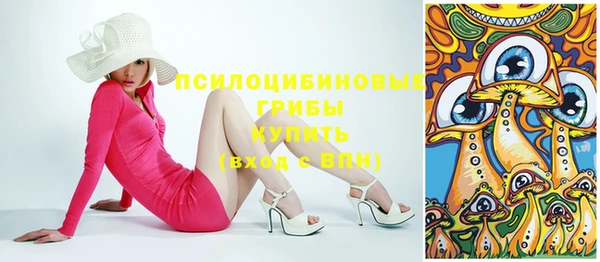стаф Арсеньев