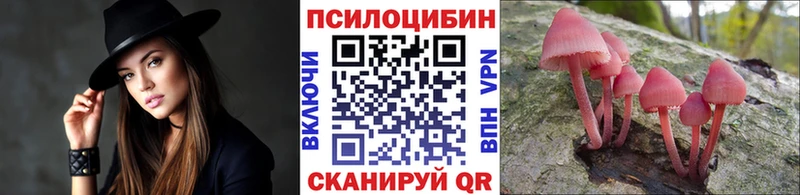купить  сайты  Богучар  Псилоцибиновые грибы GOLDEN TEACHER 